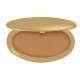 True Colour Pore Perfecting Powder Foundation - For Normal to Oily Skin